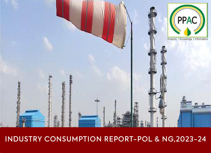 Industry Consumption Report