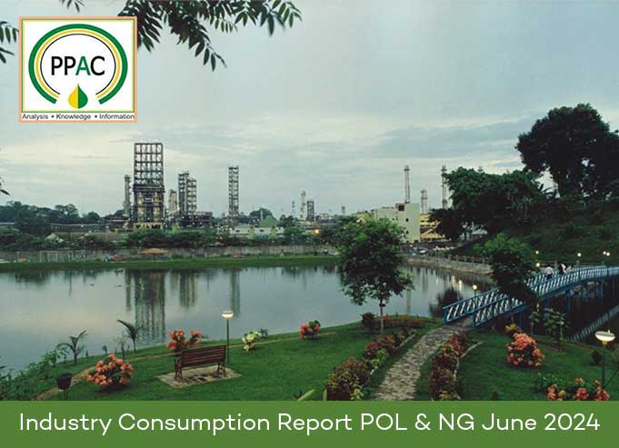 Industry Consumption Report